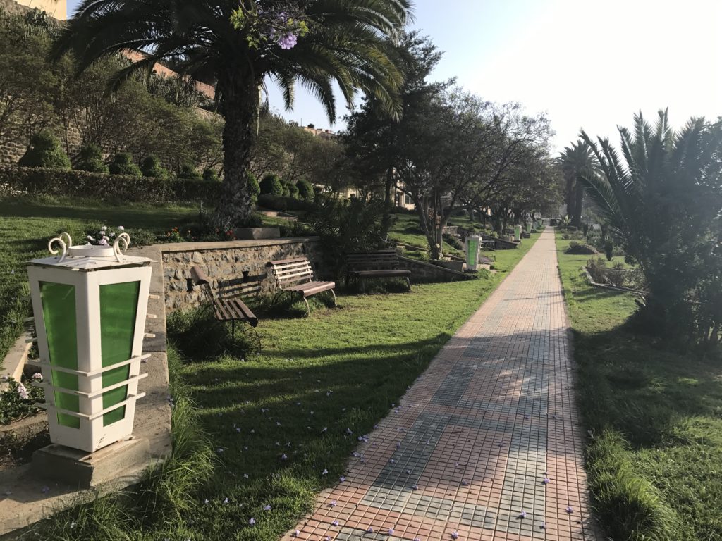The park in Asmara, Eritrea