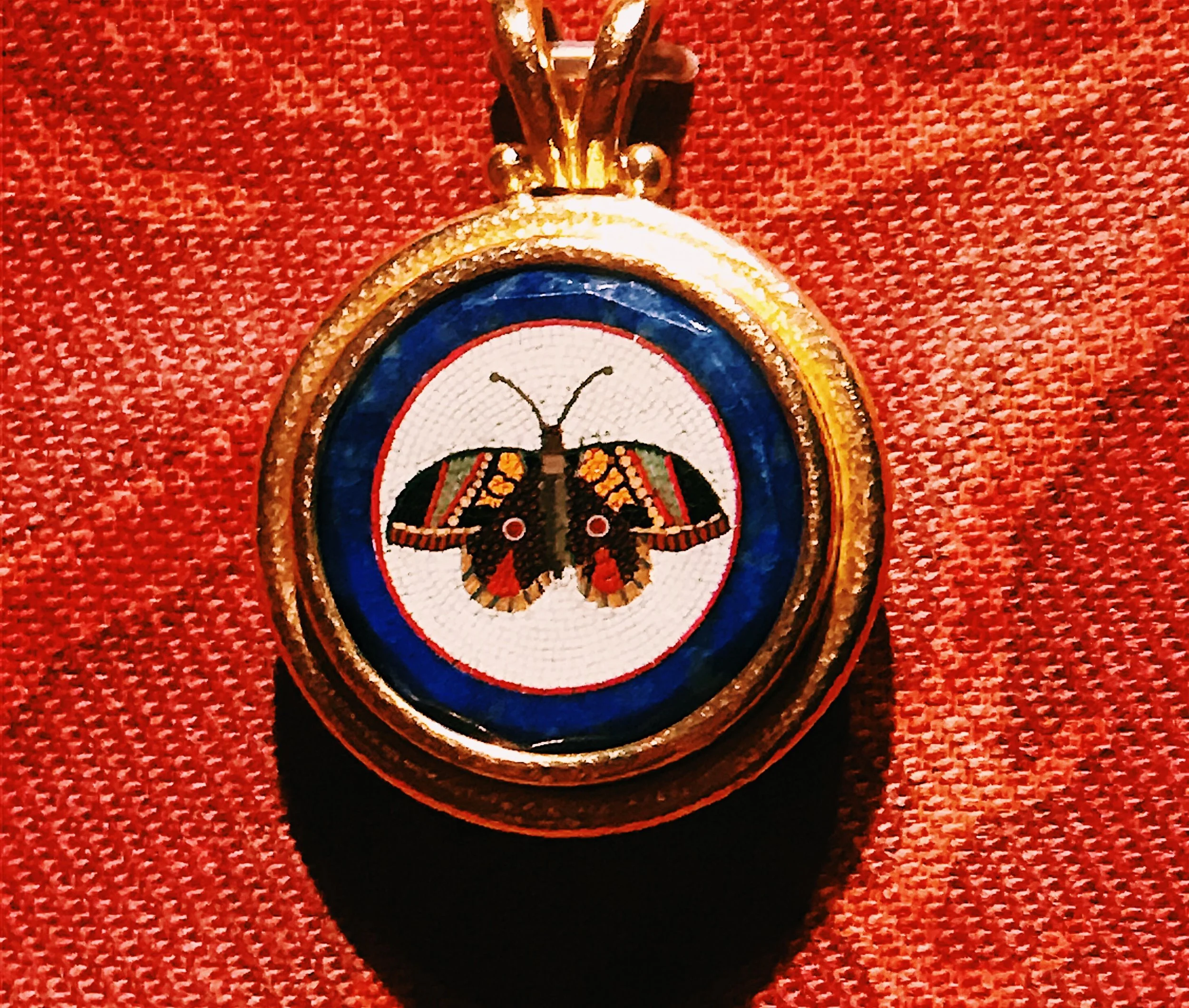 singular butterfly.JPG