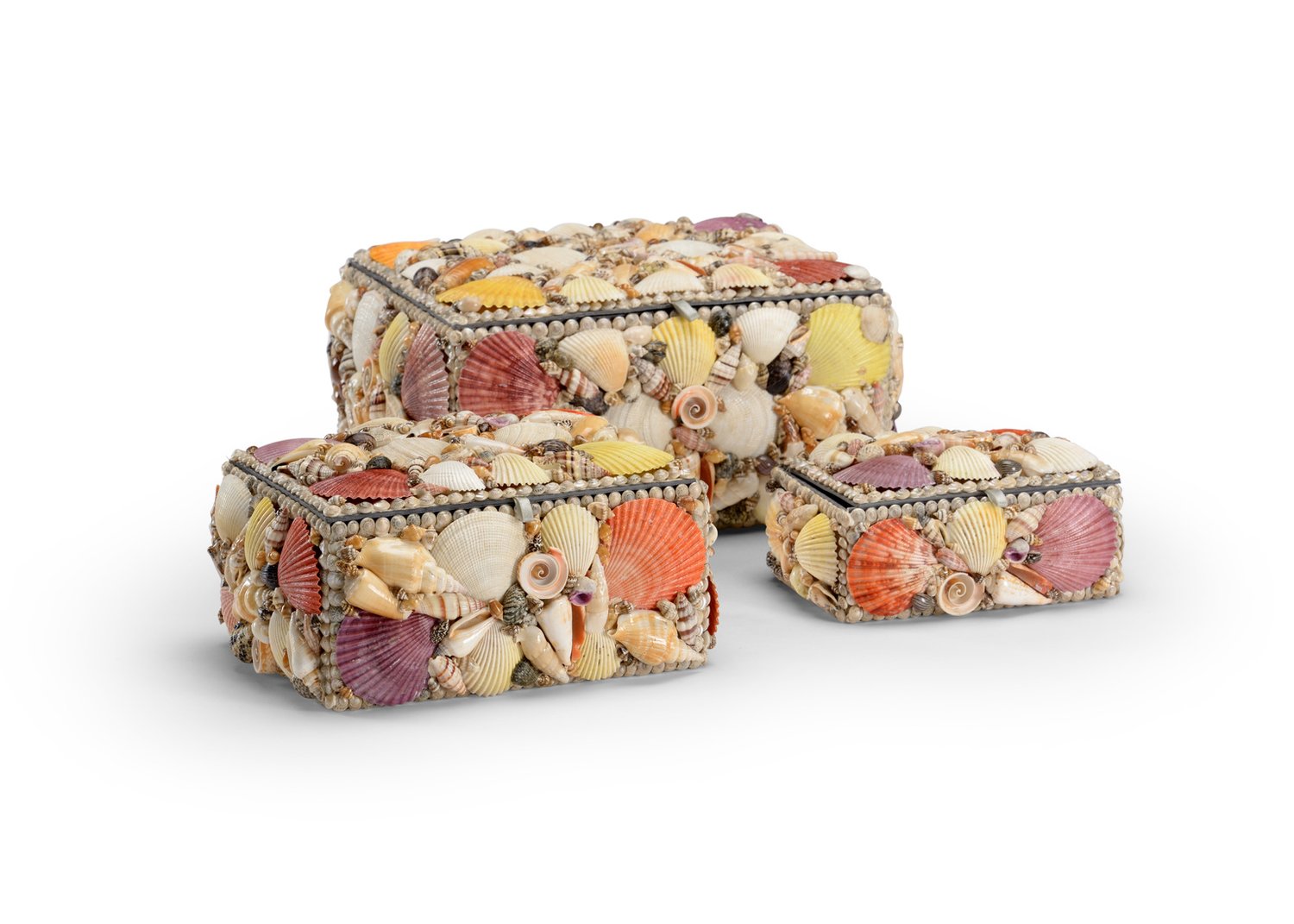 Seashell Packaging SHE SELLS SEASHELLS...NOT ALWAYS BY THE SEASHORE — SCW Interiors
