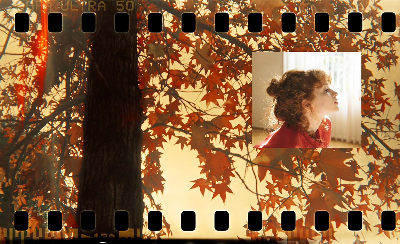 brownie leaves w sarah print.jpg