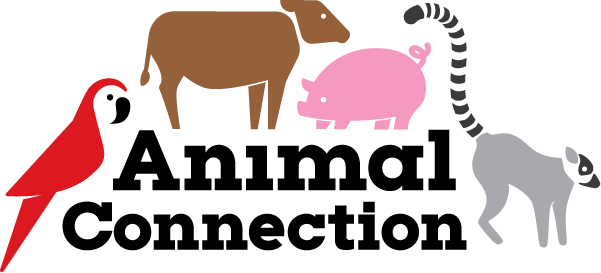 Asset 2.png