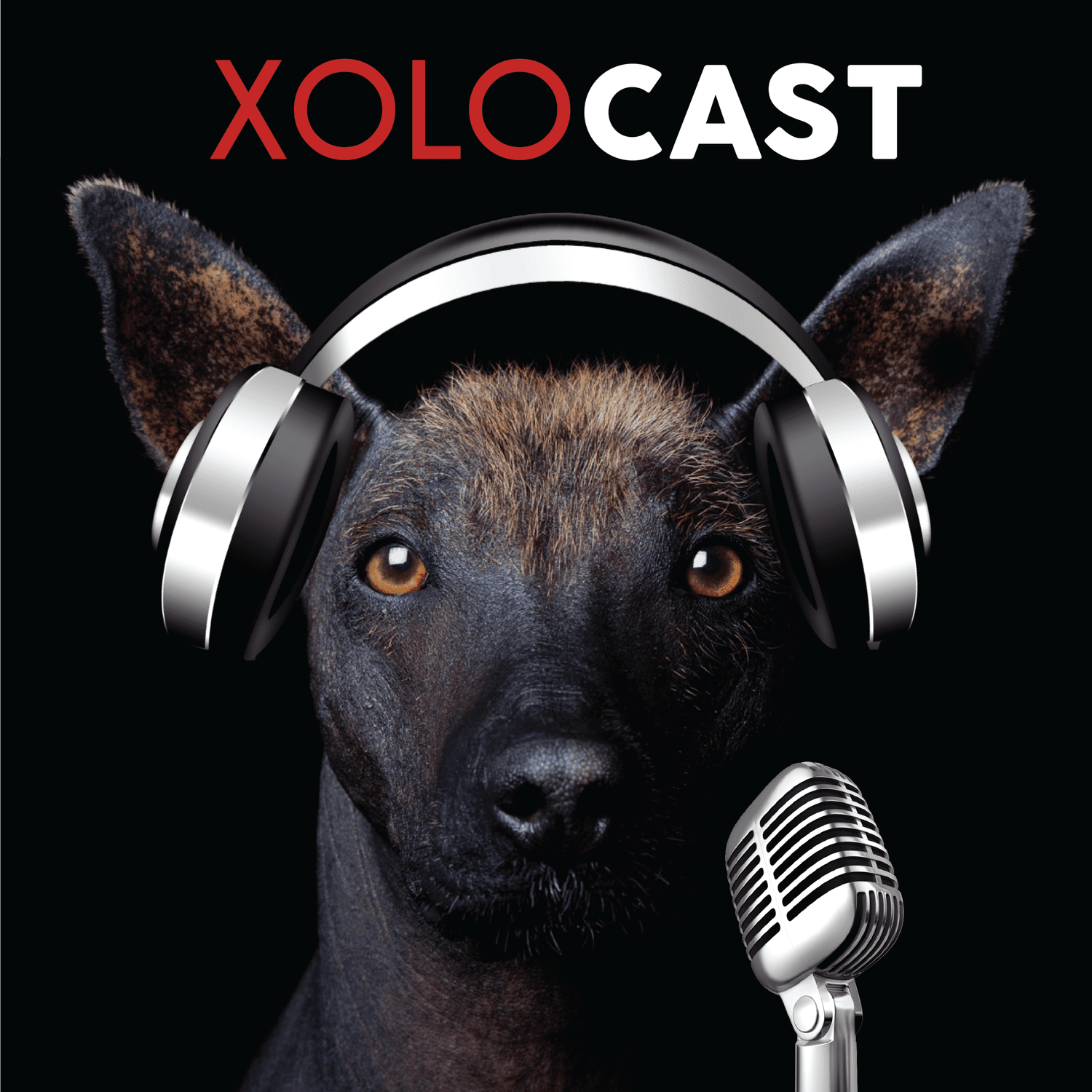 XOLOCAST