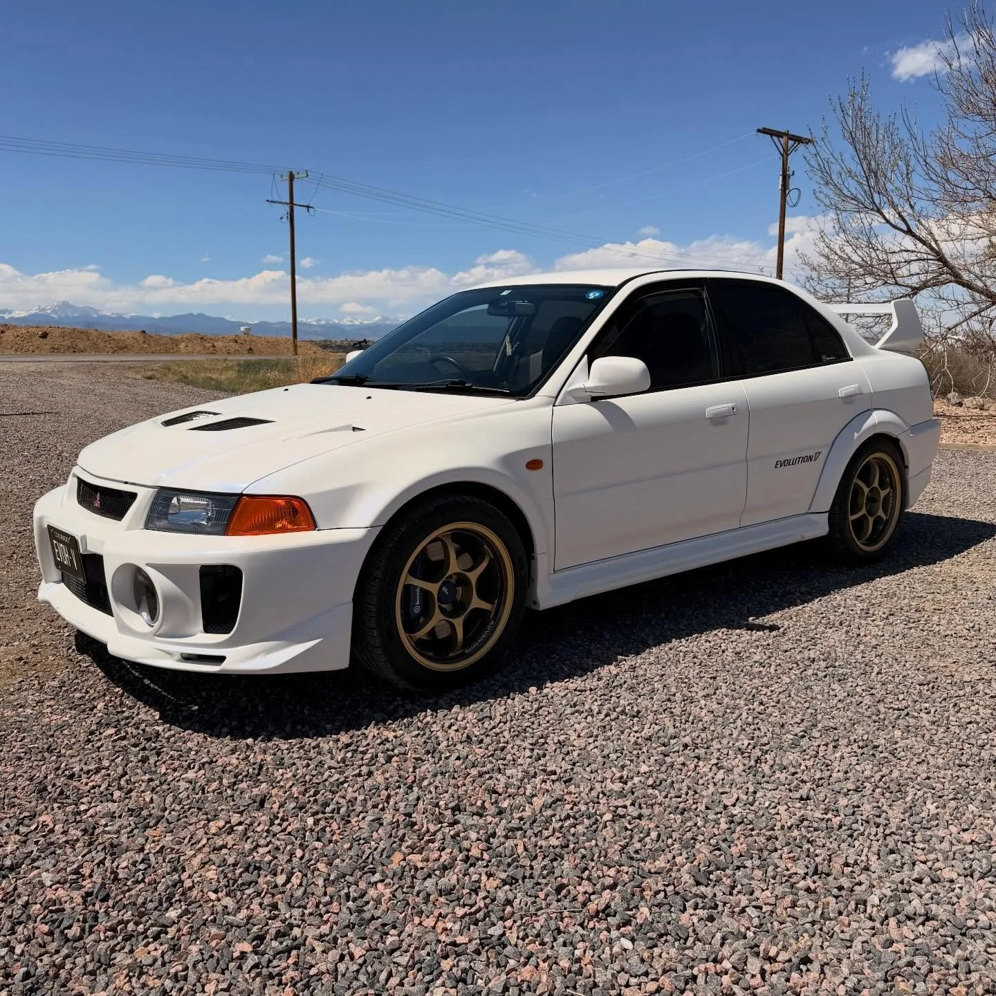 Got to get this gorgeous EVO V on the rack and line it up yesterday!