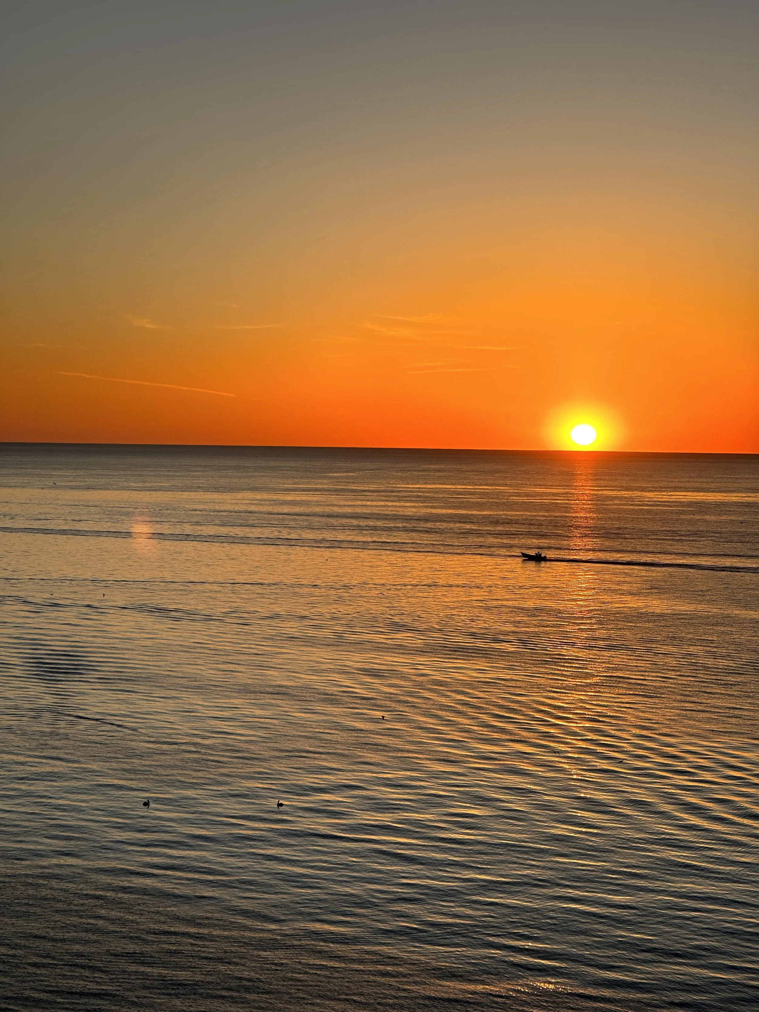 Stella del mar_San Felipe_Baja.jpg