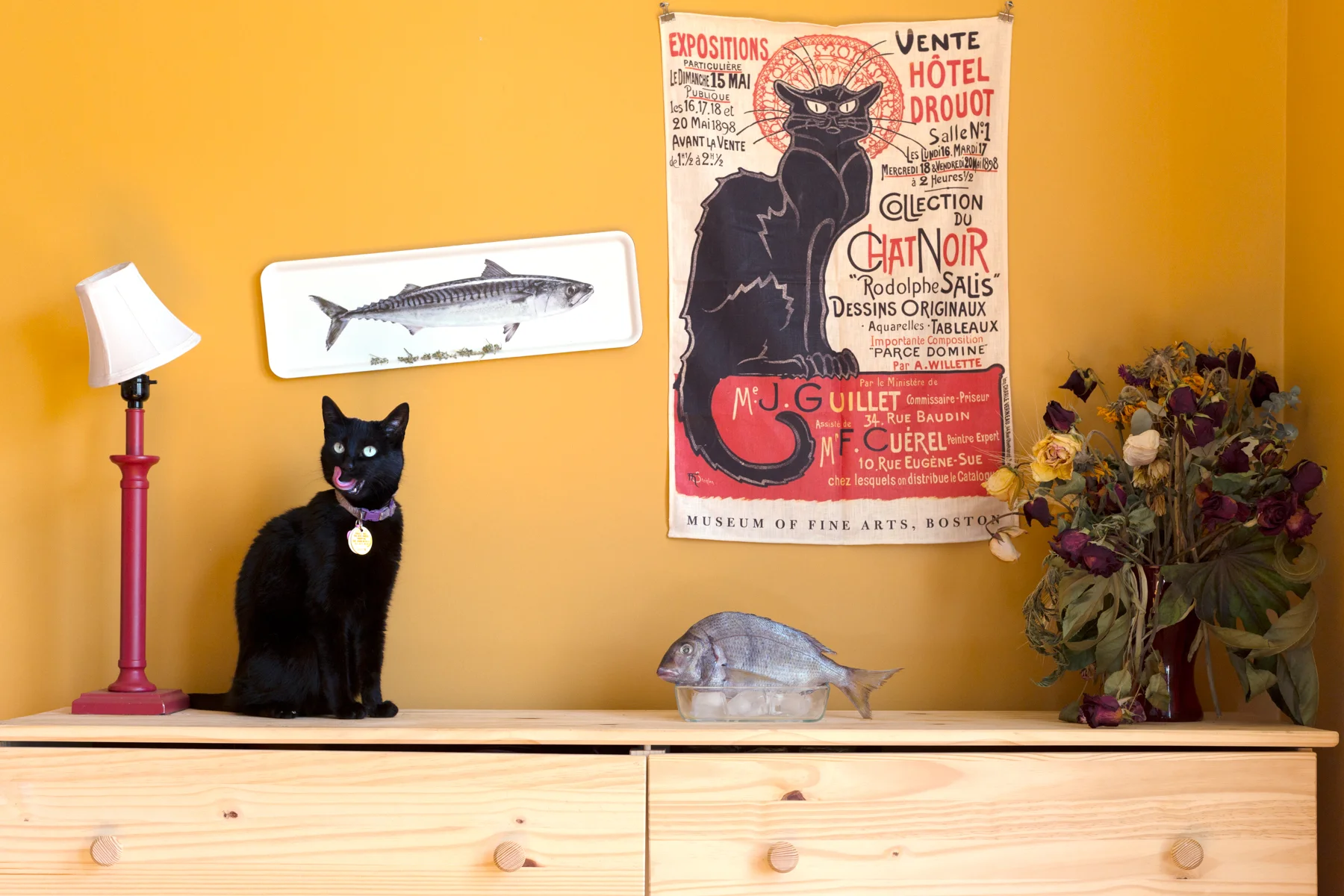 Le Cats and Le Fish, 2014