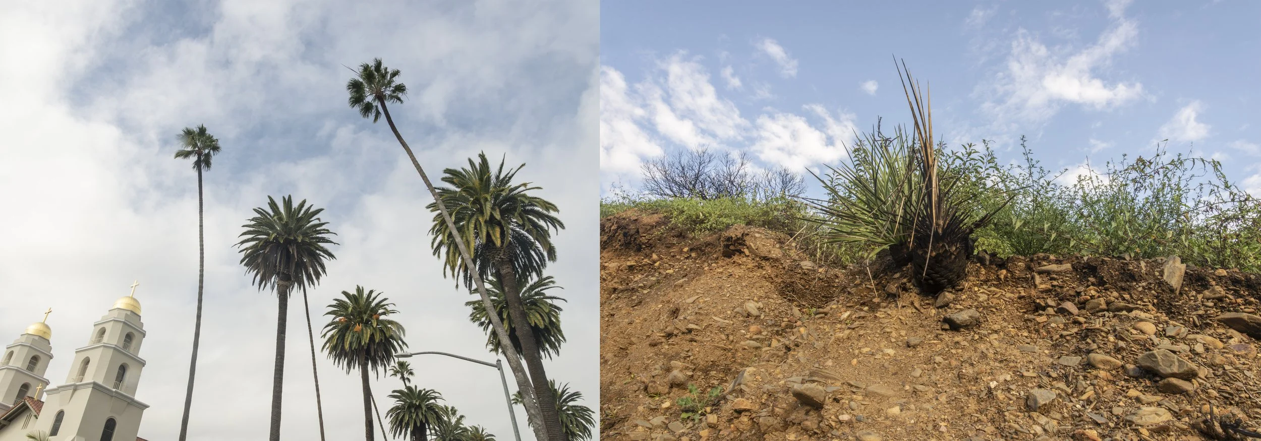 God has a sense of humor, it's called karma