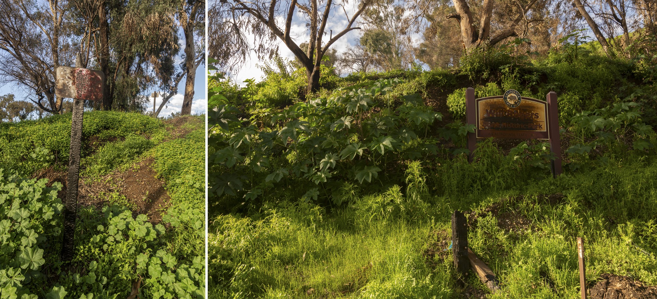 Aún huele a quemado (It still smells like something burned)