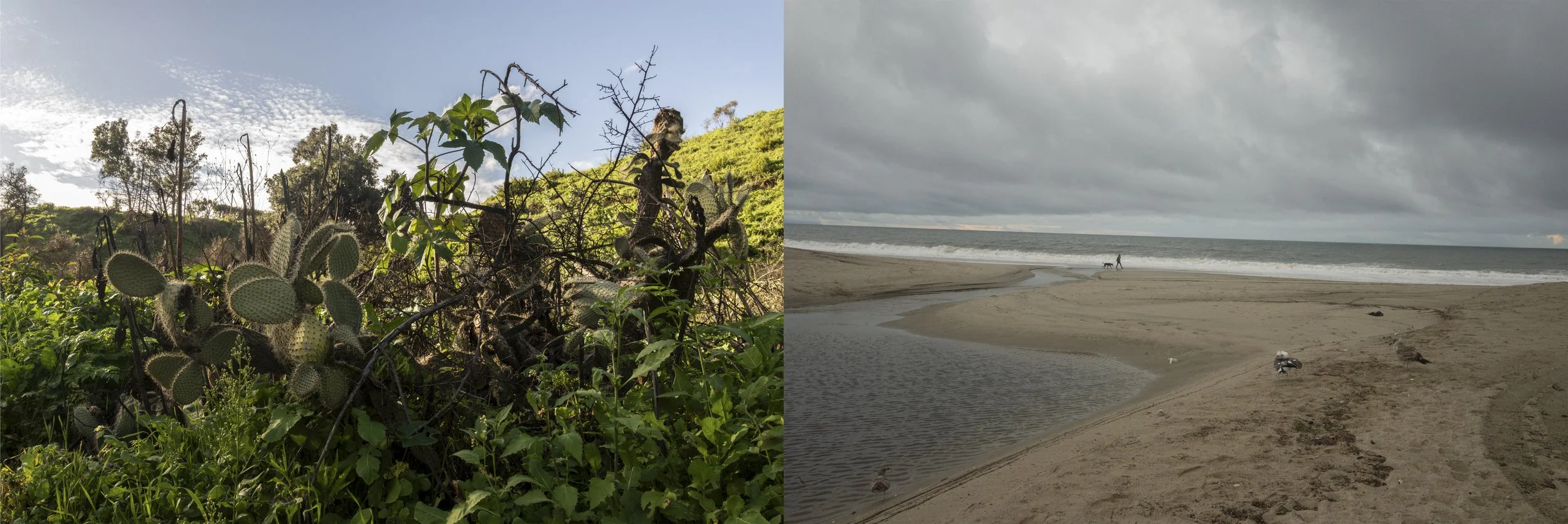 Nice to meet you for the first time