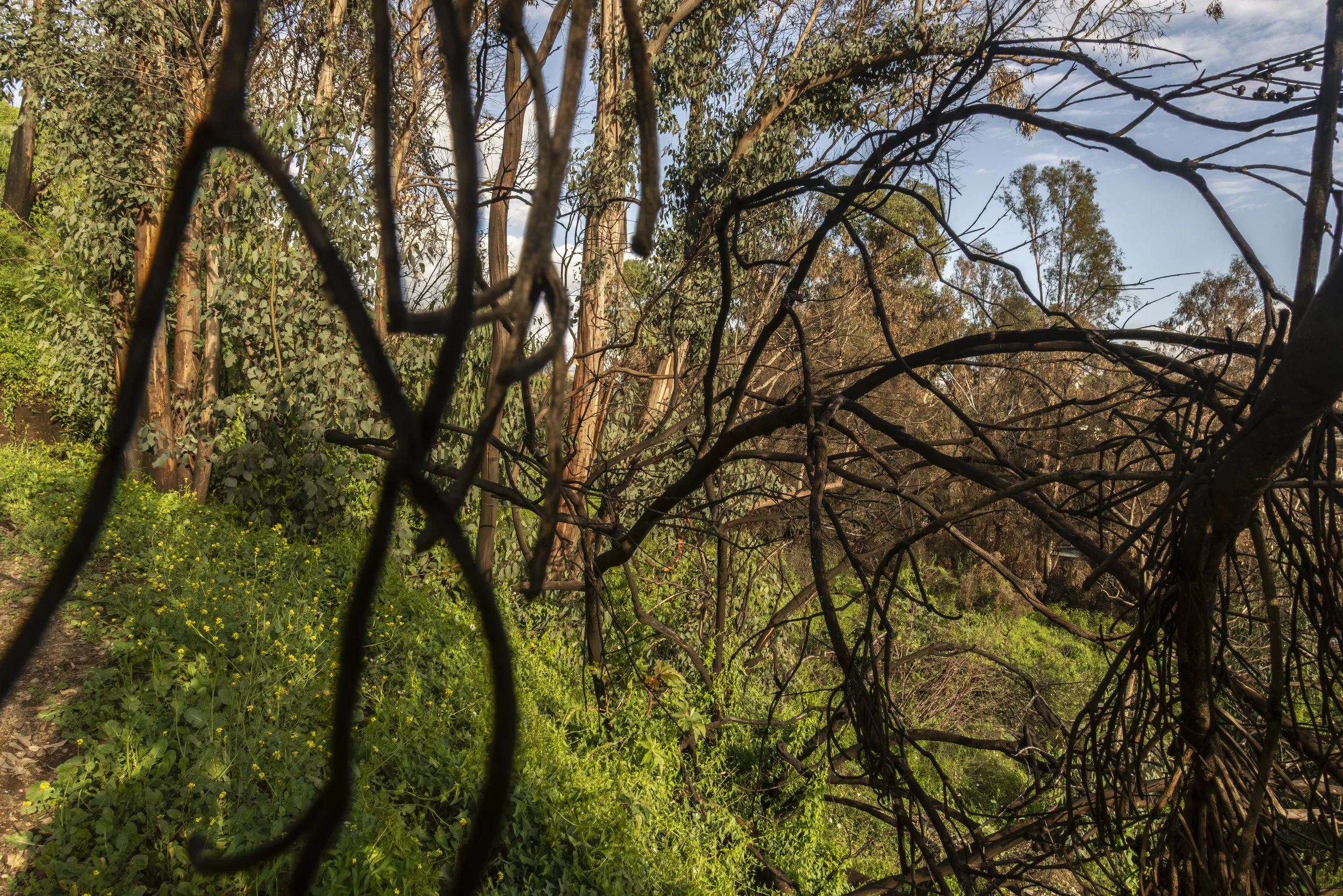 Regrets must feel like this