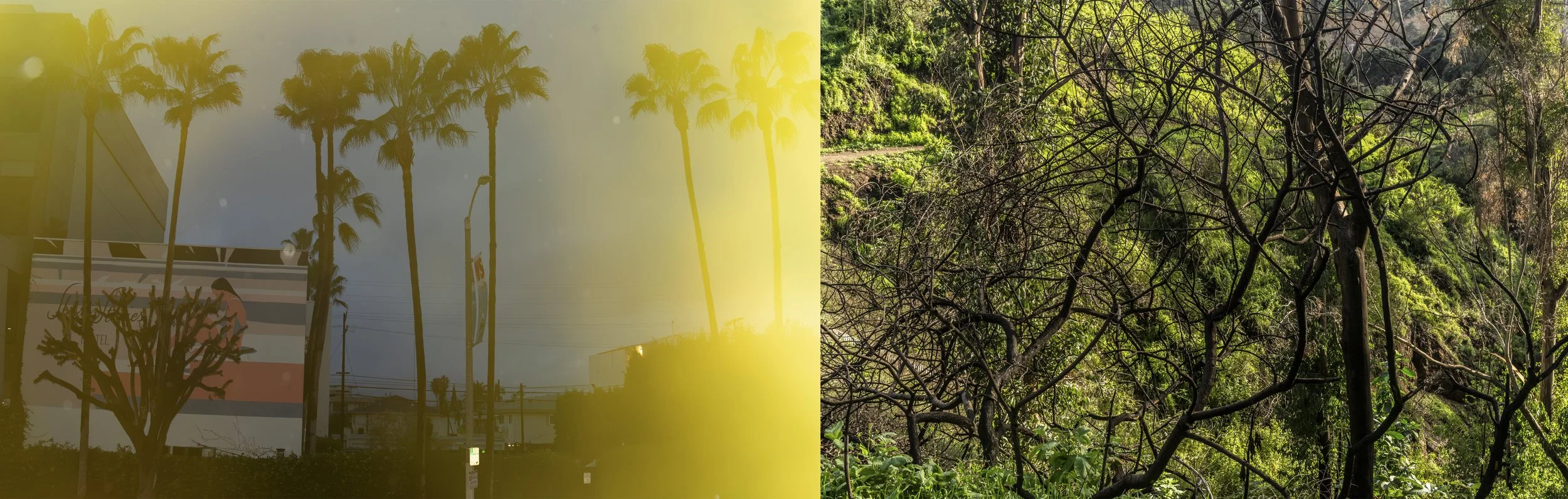 Sometimes it feels like I encounter what I'm feeling