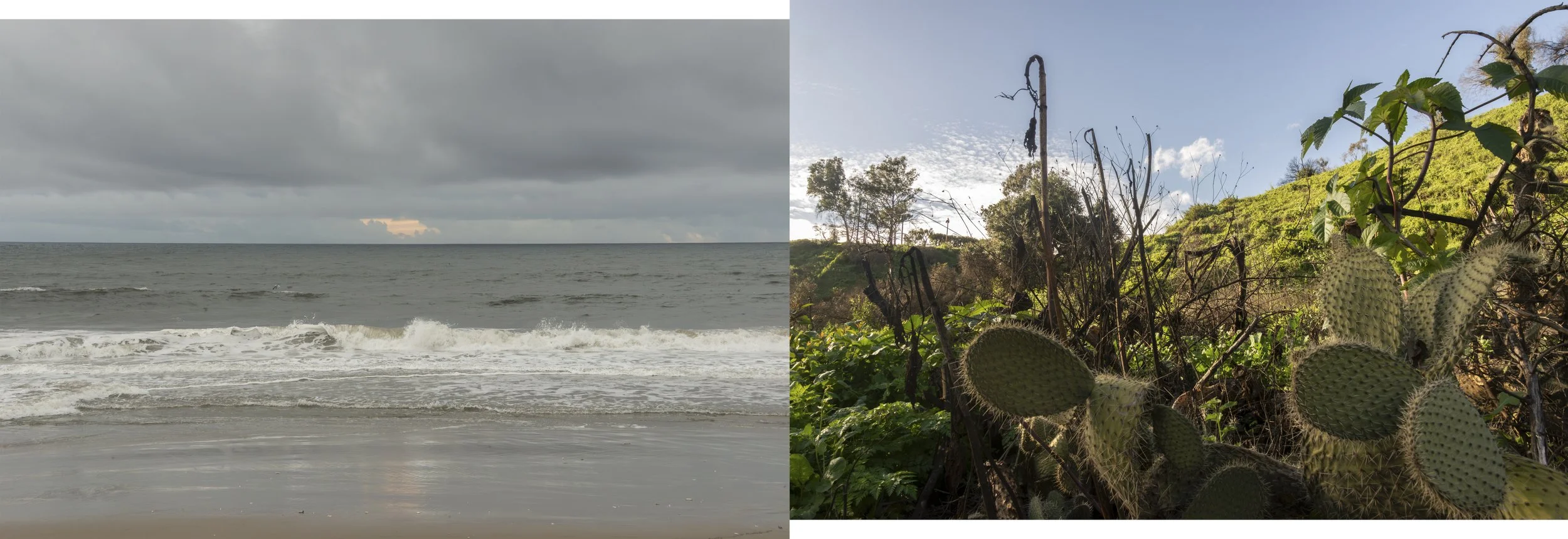 The rainbows are gone