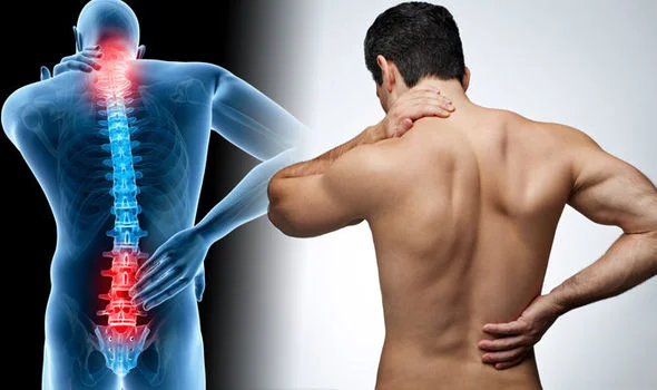 back pain 4.jpg