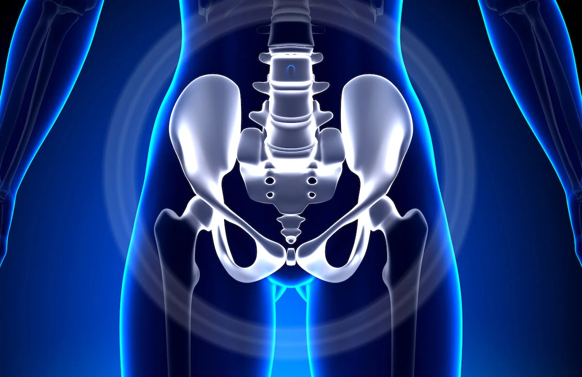 Fascial Pelvis Myofascial Release Myofascial Release John F Barnes Pt