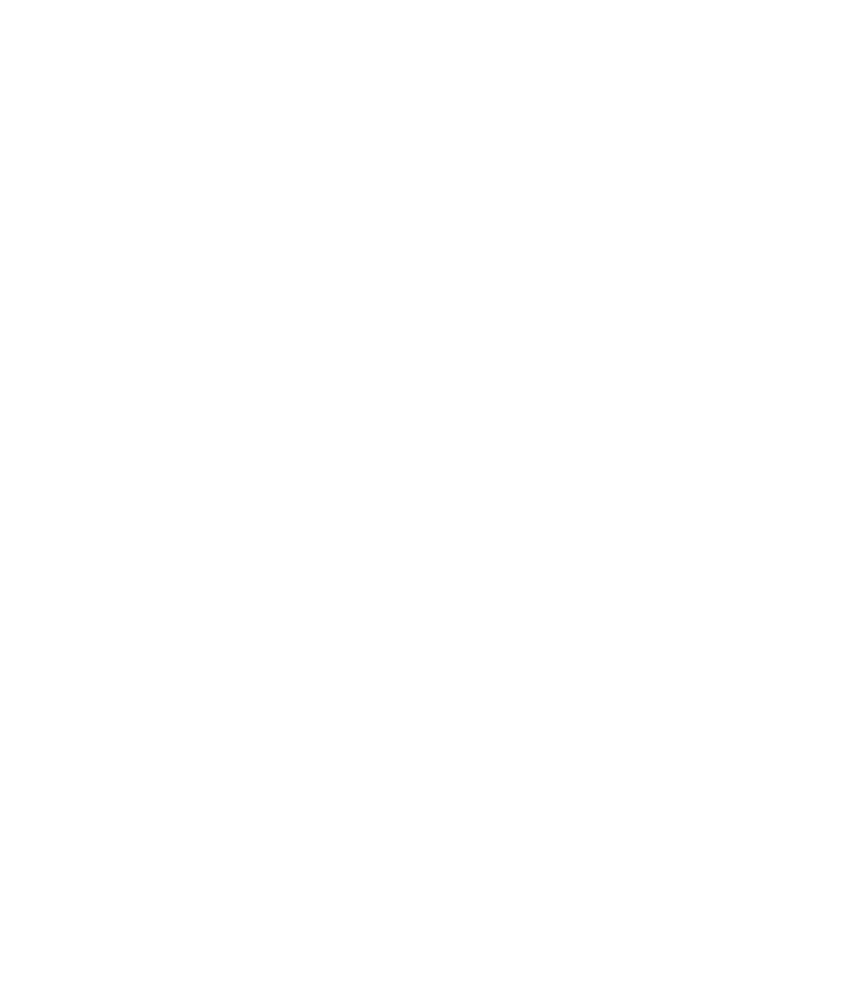 Route 101.png