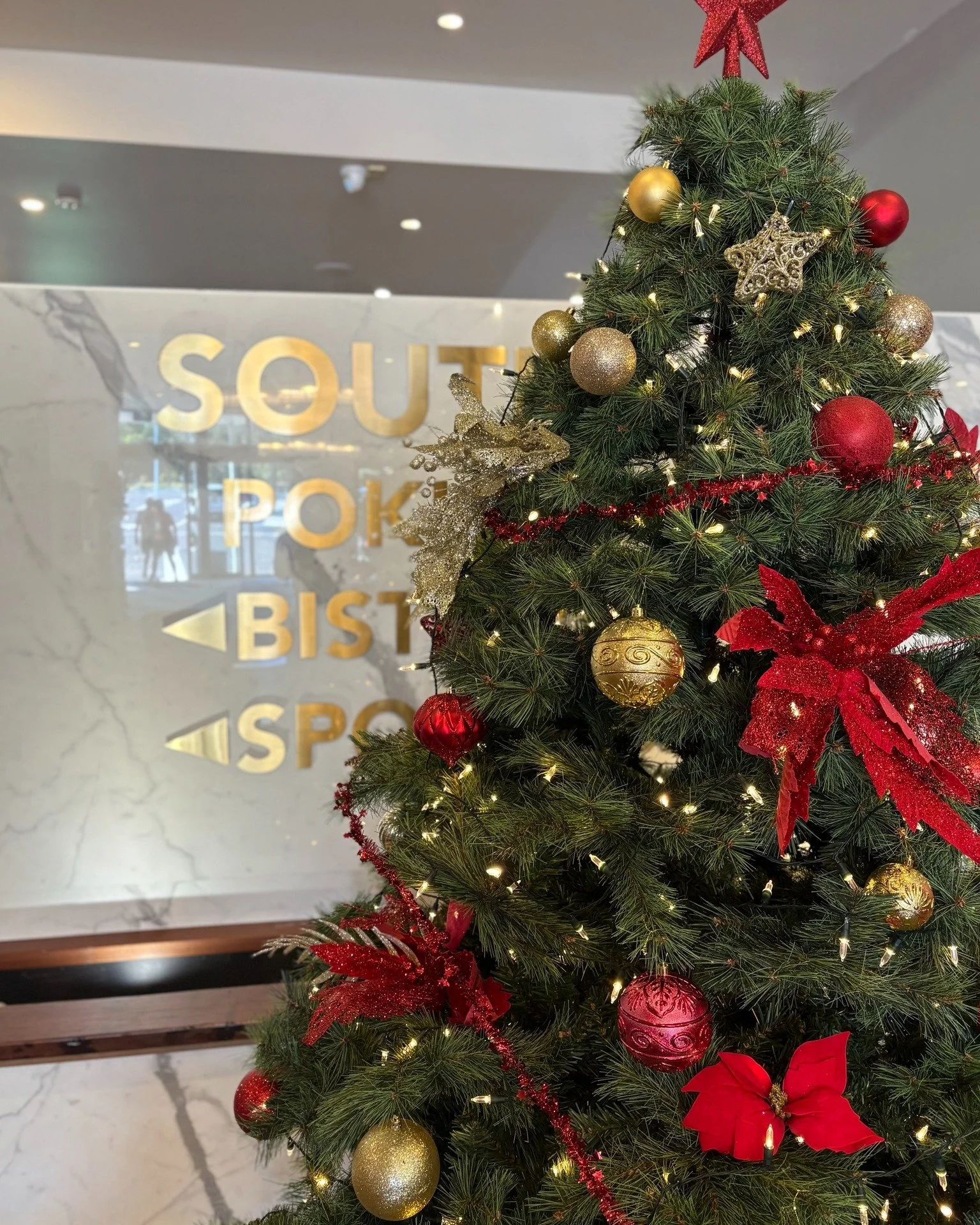 The decorations are up and Christmas has officially arrived at Souths! We can&rsquo;t wait to celebrate the festive season with you 🎅✨