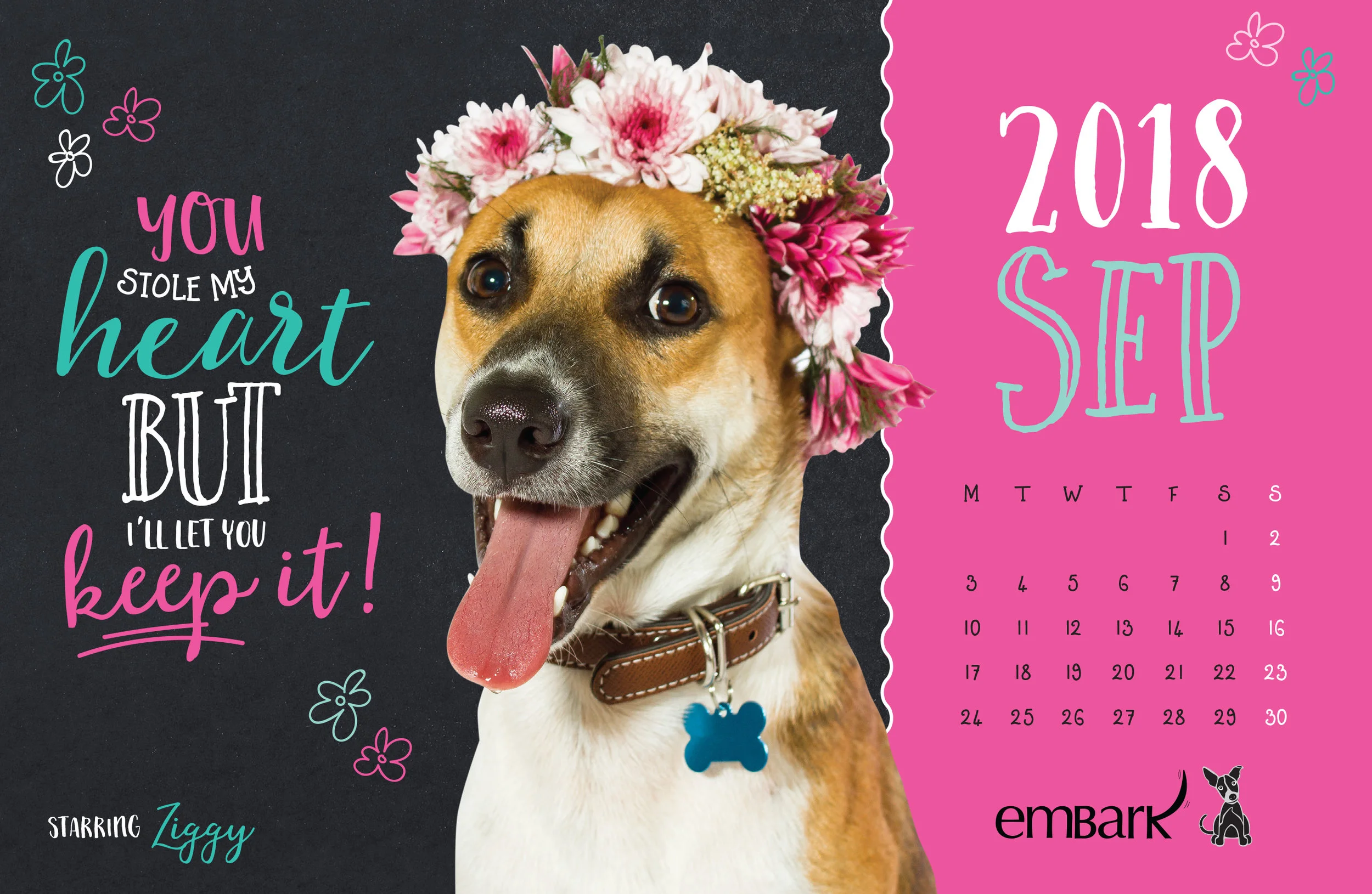 Embark-Calendar-2018-19.jpg