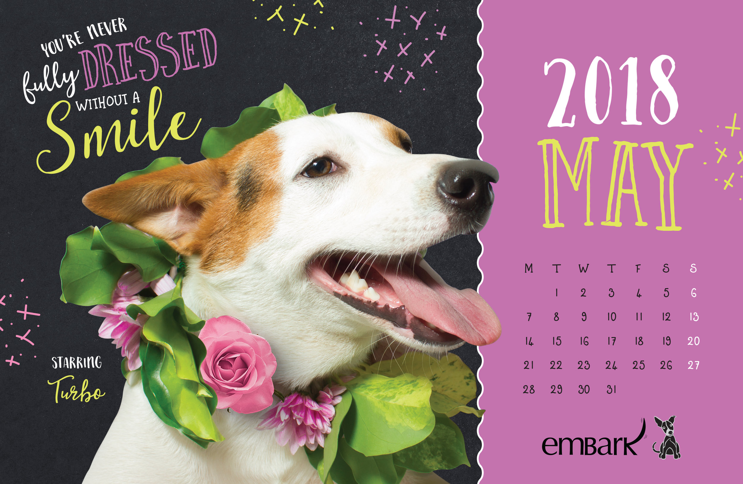 Embark-Calendar-2018-11.jpg