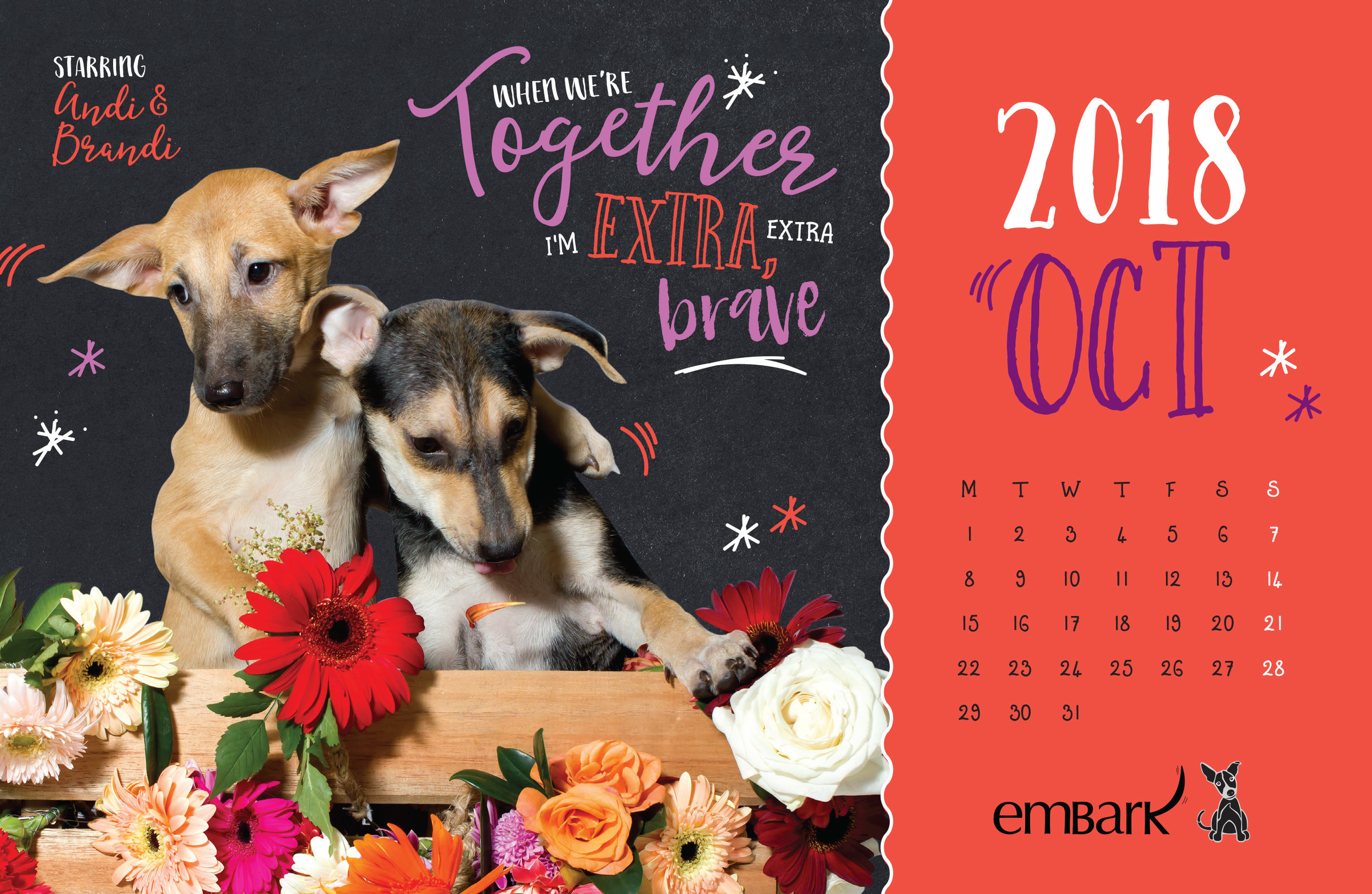 Embark-Calendar-2018-21.jpg