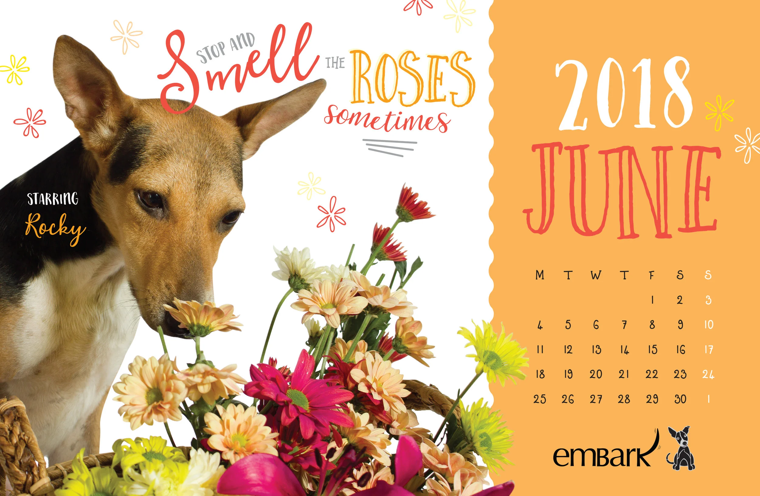 Embark-Calendar-2018-13.jpg