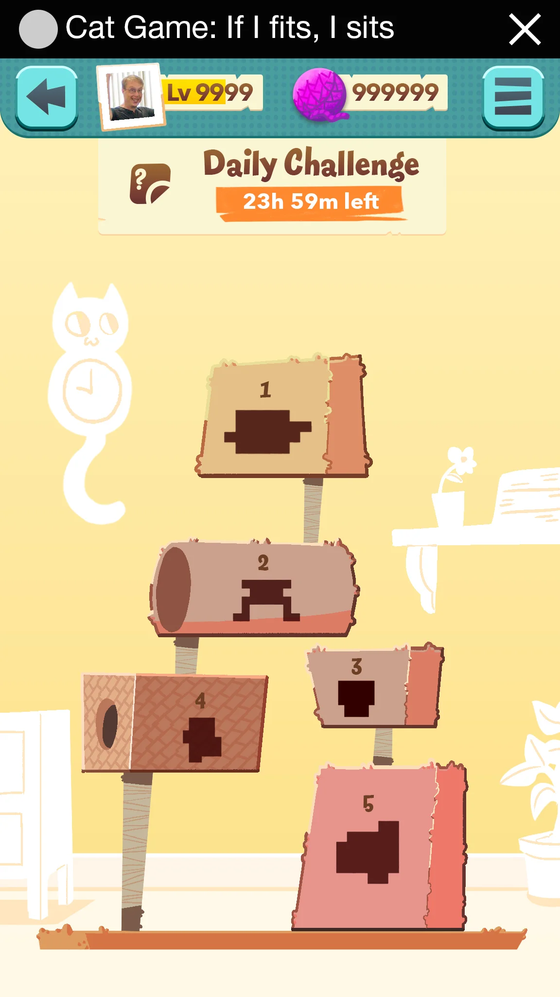 CatGame_Daily_5Levels.jpg