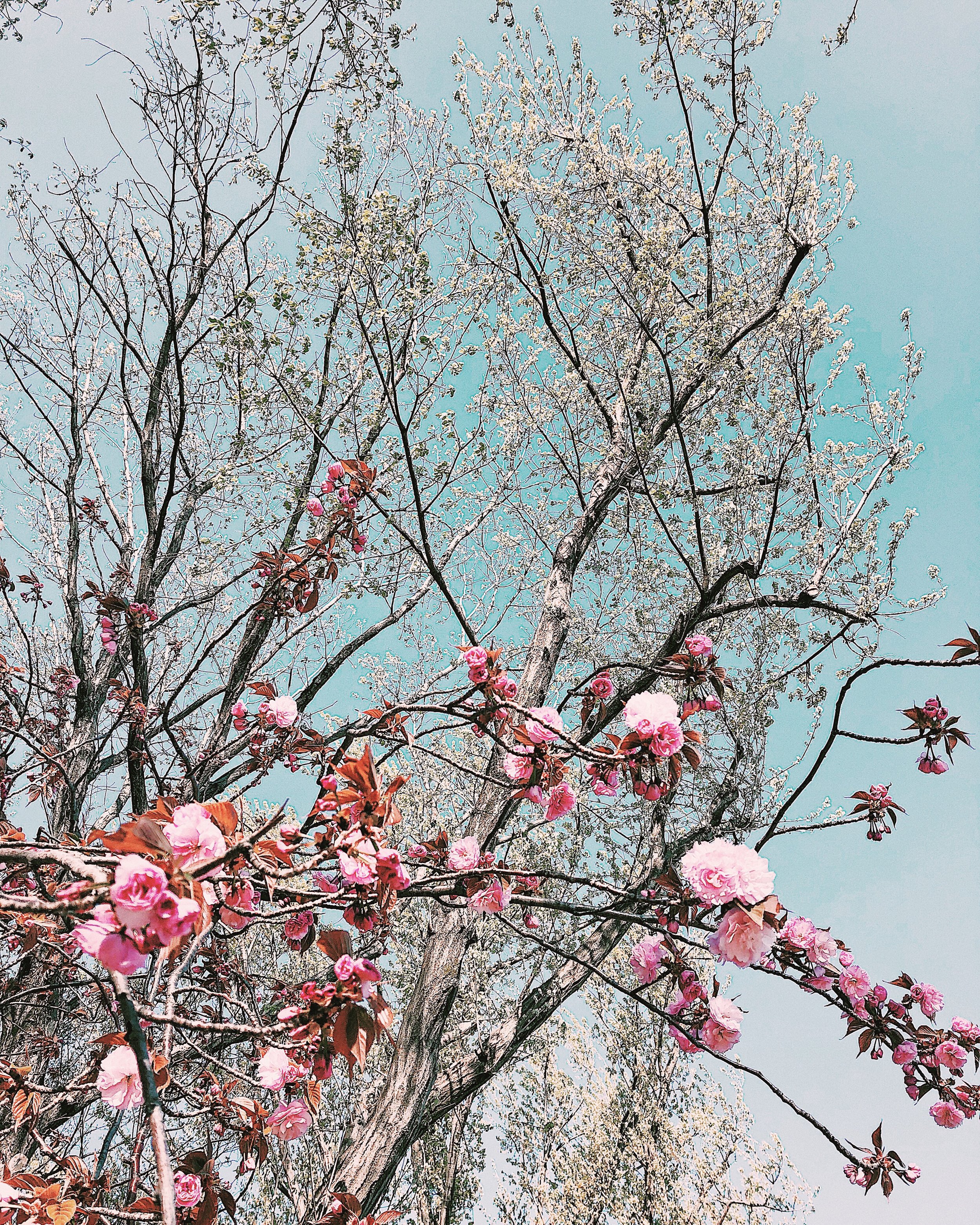 7B0AE87F-DA49-420C-B20B-445620611726.jpeg