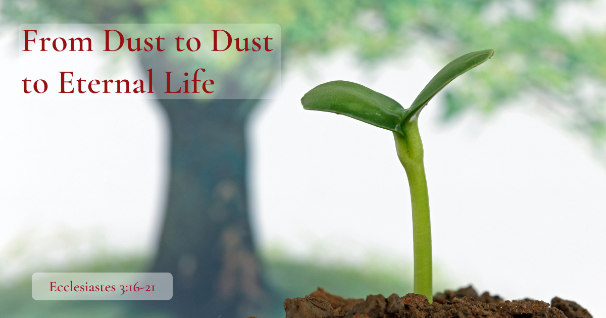 From Dust to Dust to Eternal Life.png