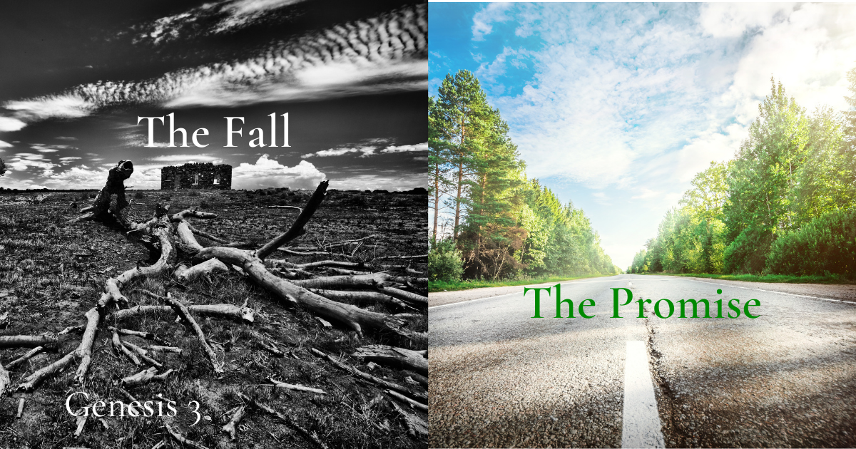 Dec 28, 2021 | The Fall and the Promise, Part 2