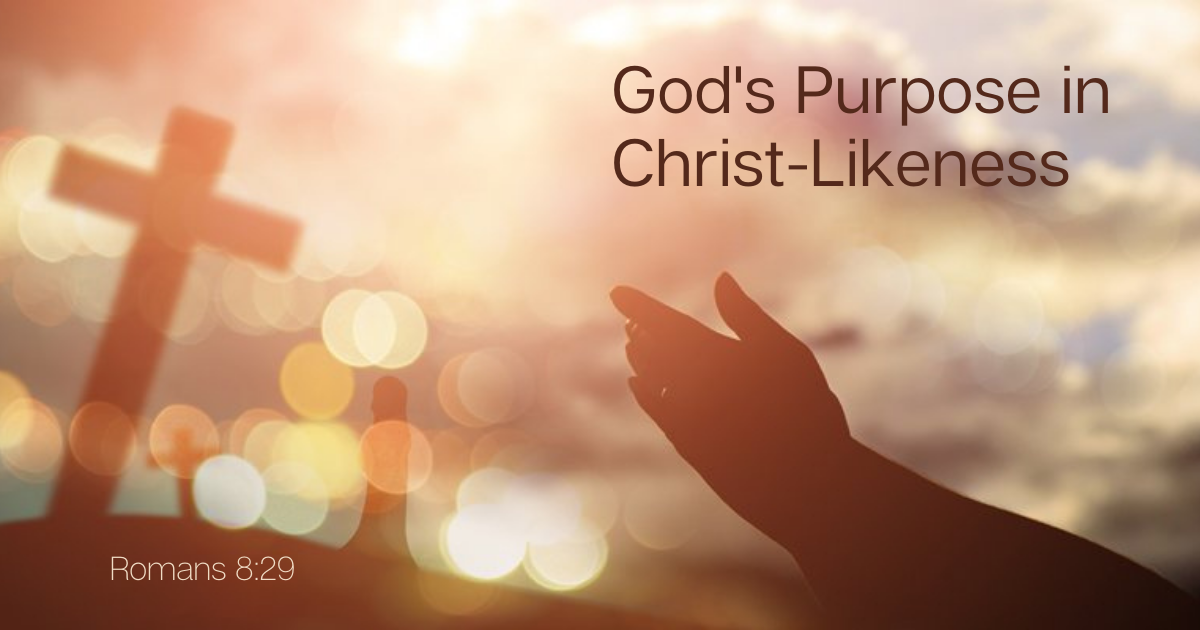 God's Purpose in Christ-Likeness.png