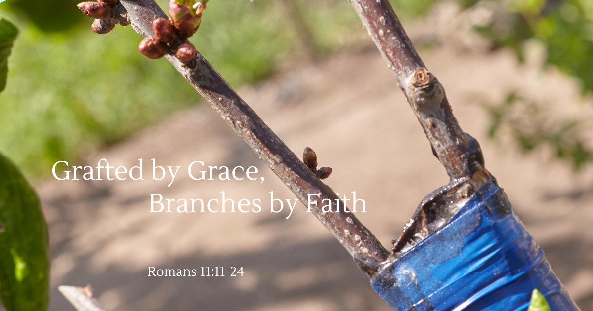 Grafted by Grace, Branches by Faith.png