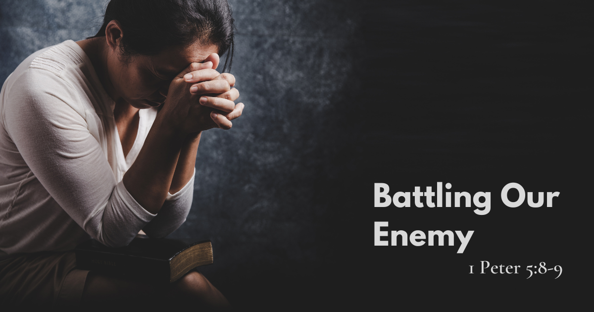 Battling Our Enemy.png