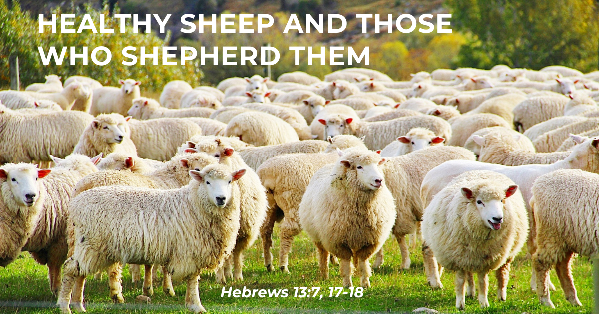 Sept 4, 2023 | Healthy Sheep and Those Who Shepherd Them, Part 2