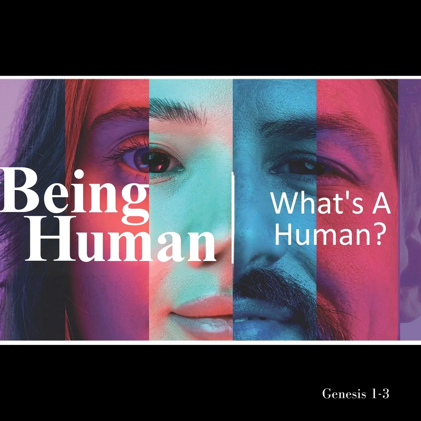 Jan 7, 2025 | What's A Human? (Part B)