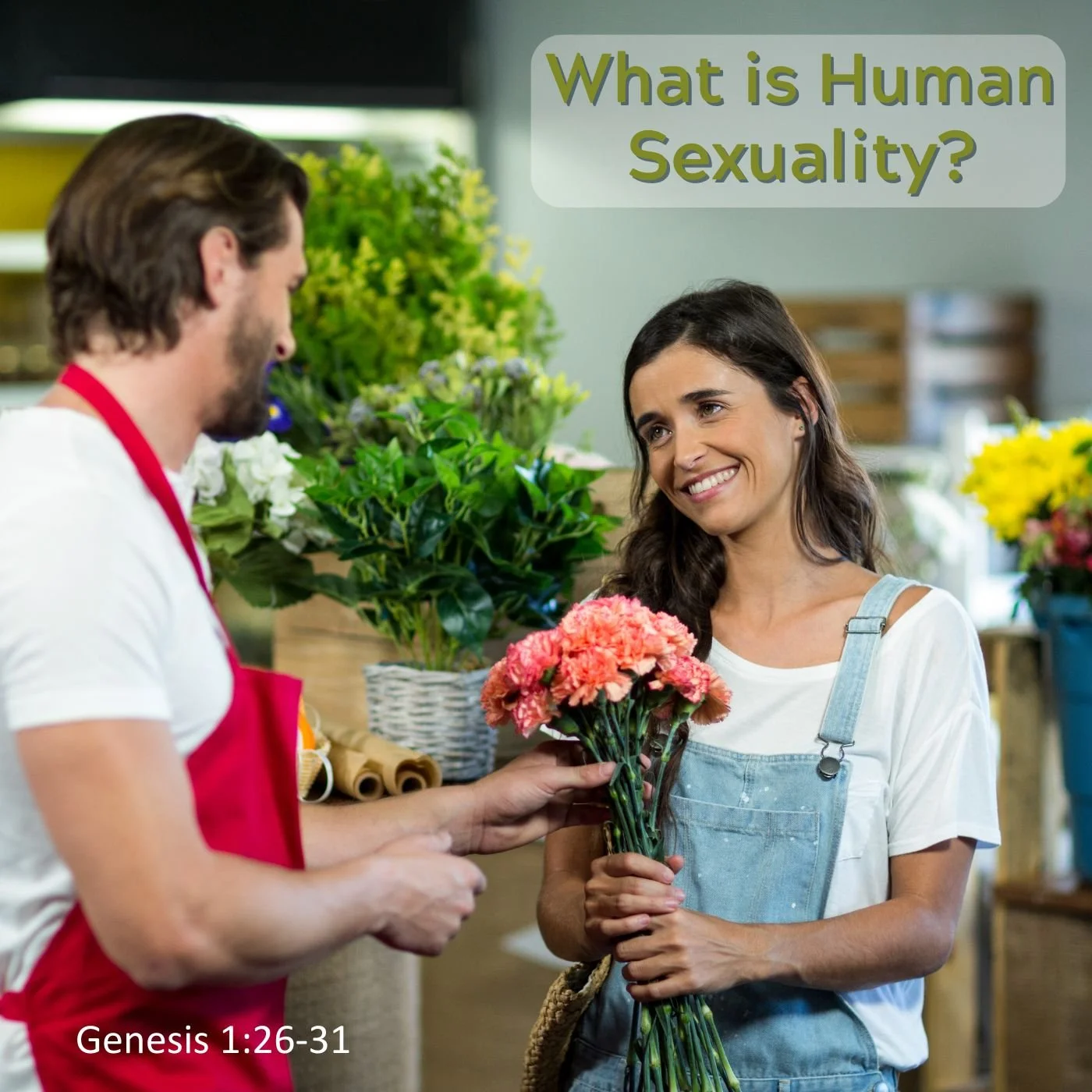 Jan 15, 2025 | What is human sexuality? (Part B)