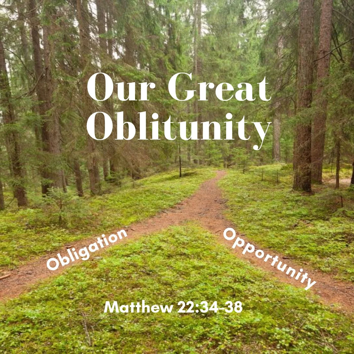 Mar 24, 2025 | Our Great Oblitunity (Part B)