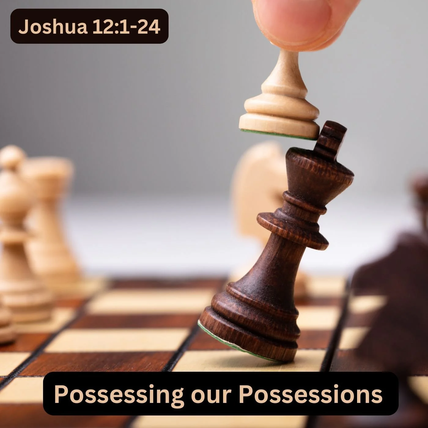 Possessing our Possessions (Part 2)
