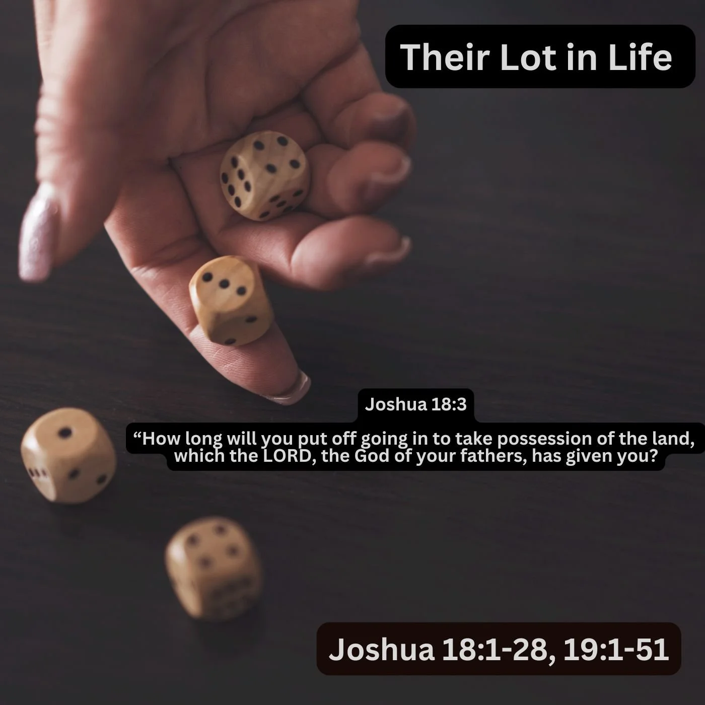 Their Lot in Life (Part 2)