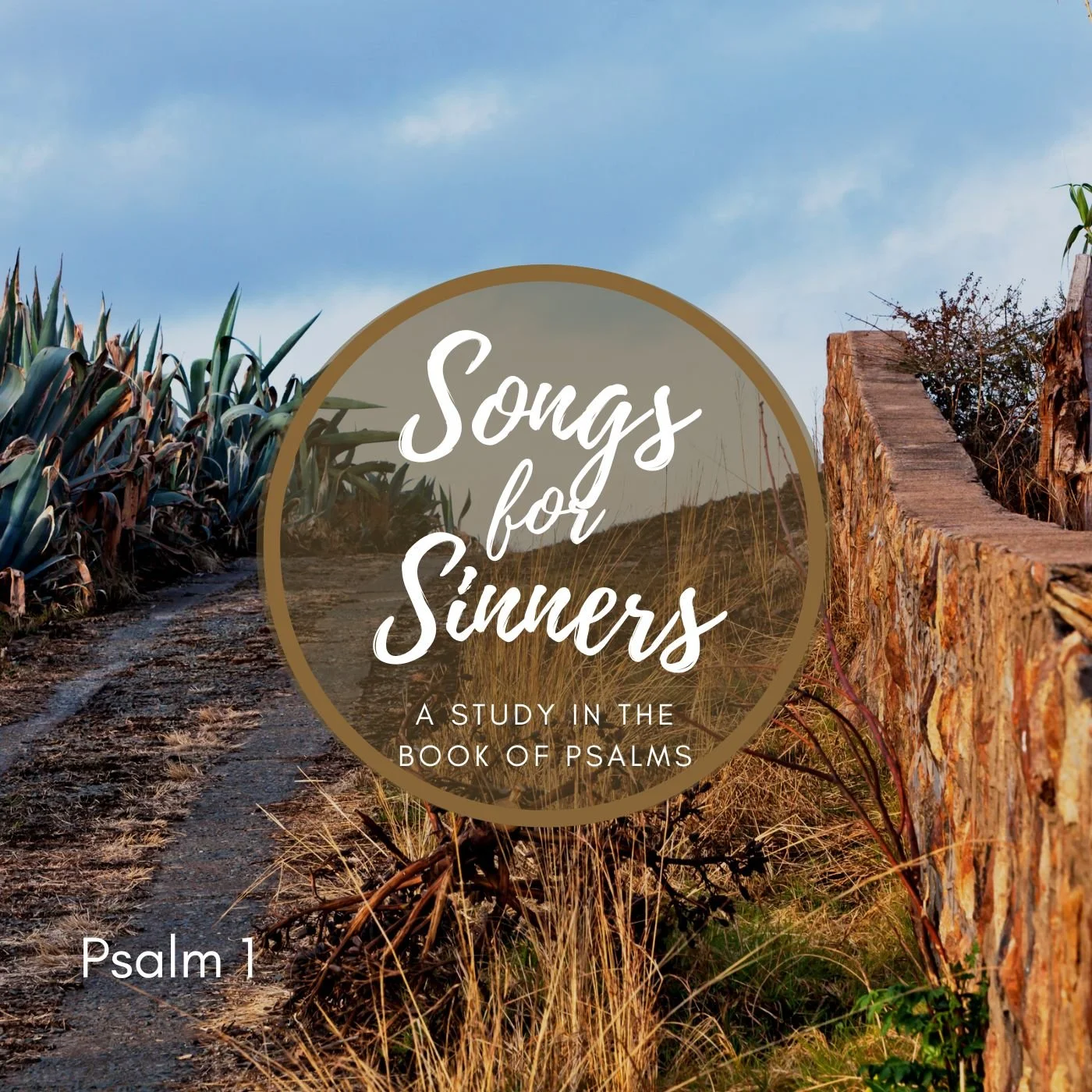 Background and Psalm 1 - Part B