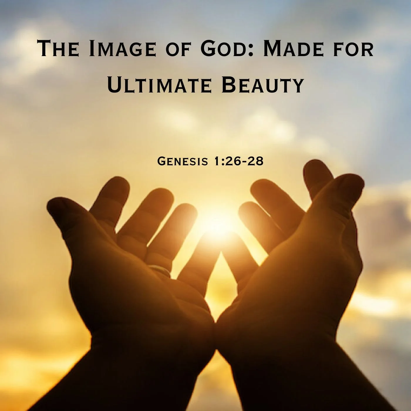 The Image of God: Made for Ultimate Beauty 