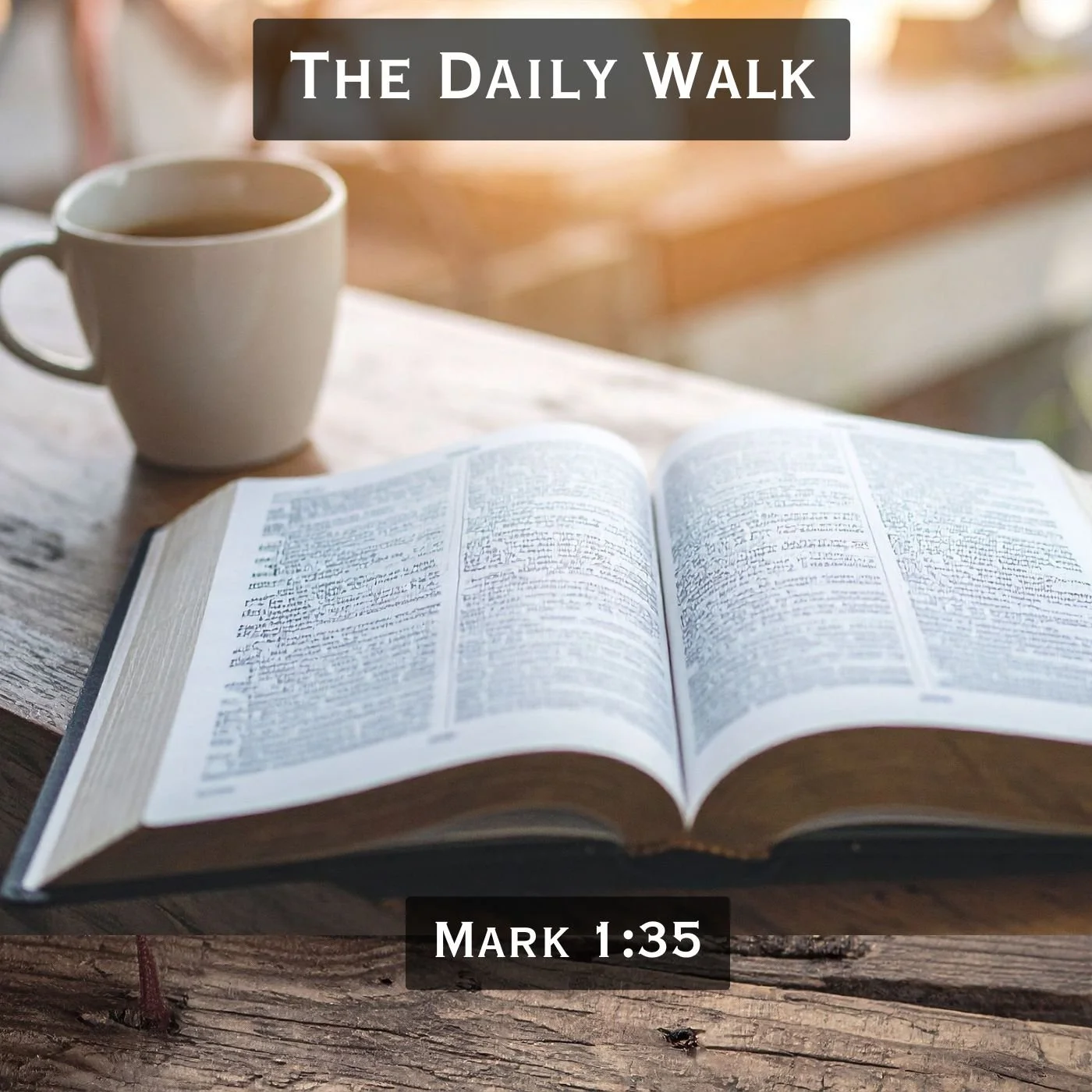 The Daily Walk - Part A