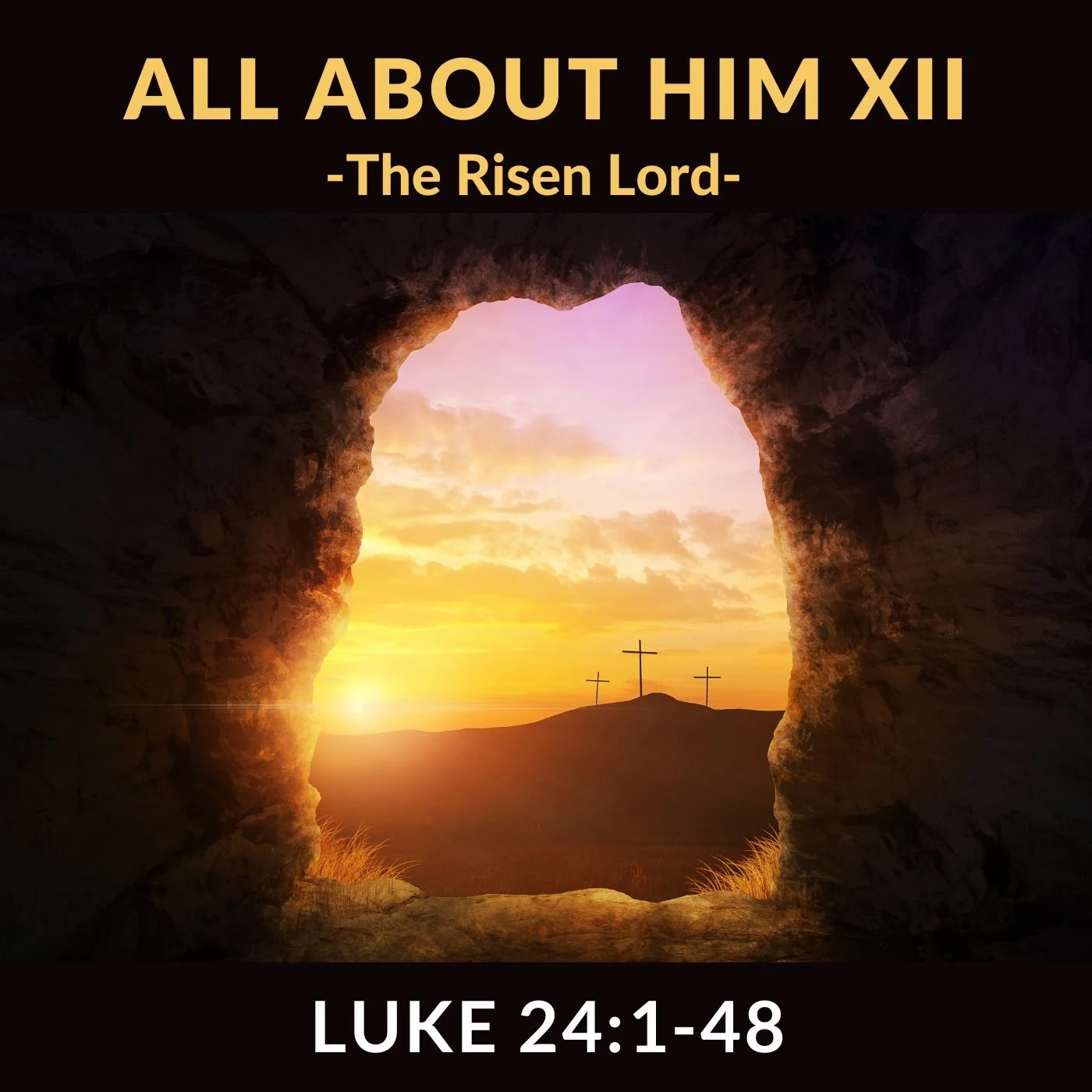 It's All About Him XII - Part B