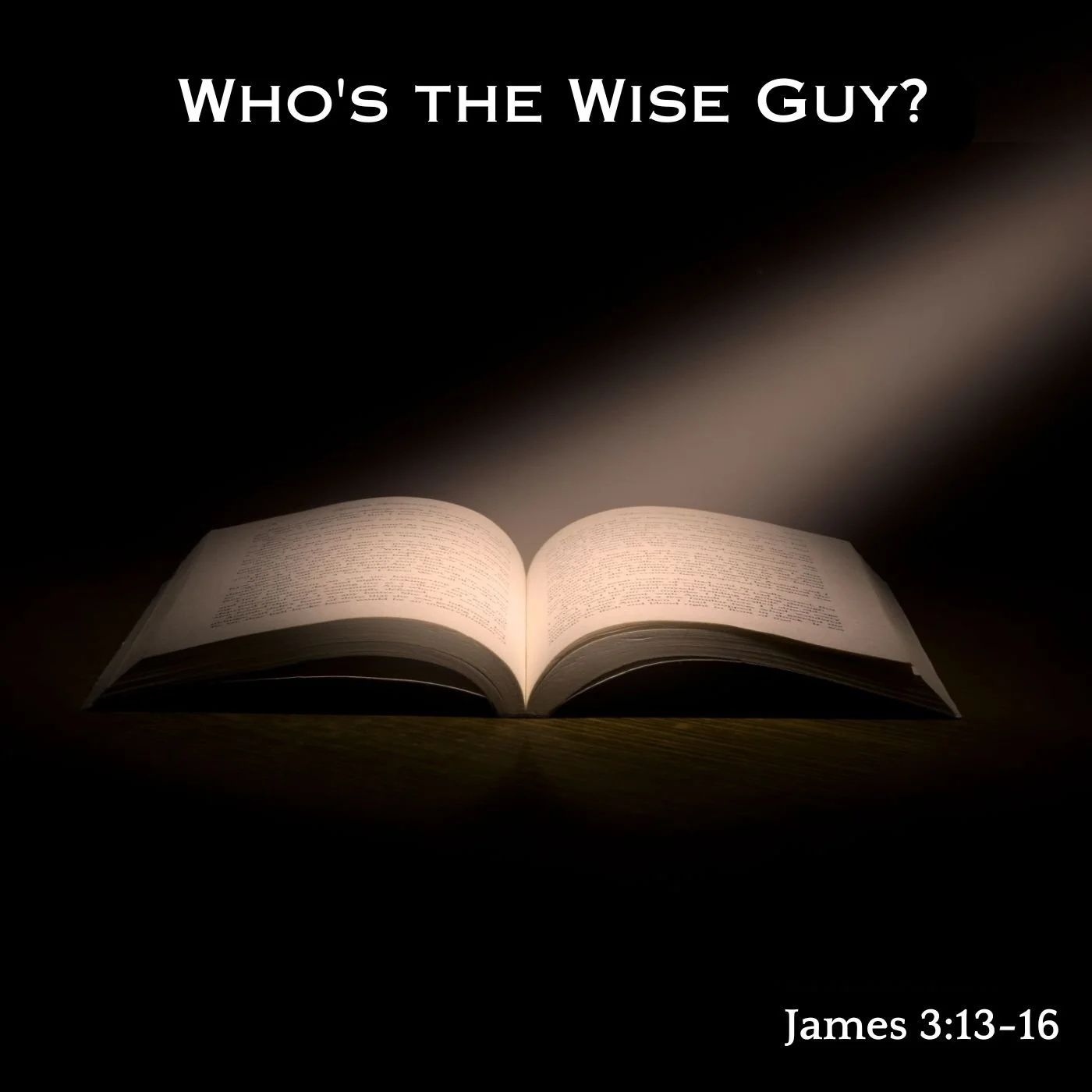 Who's the Wise Guy? - Part A