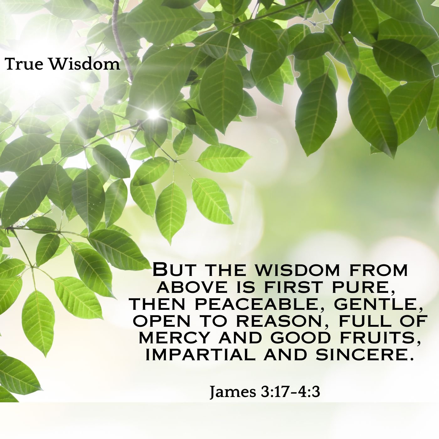 True Wisdom - Part A