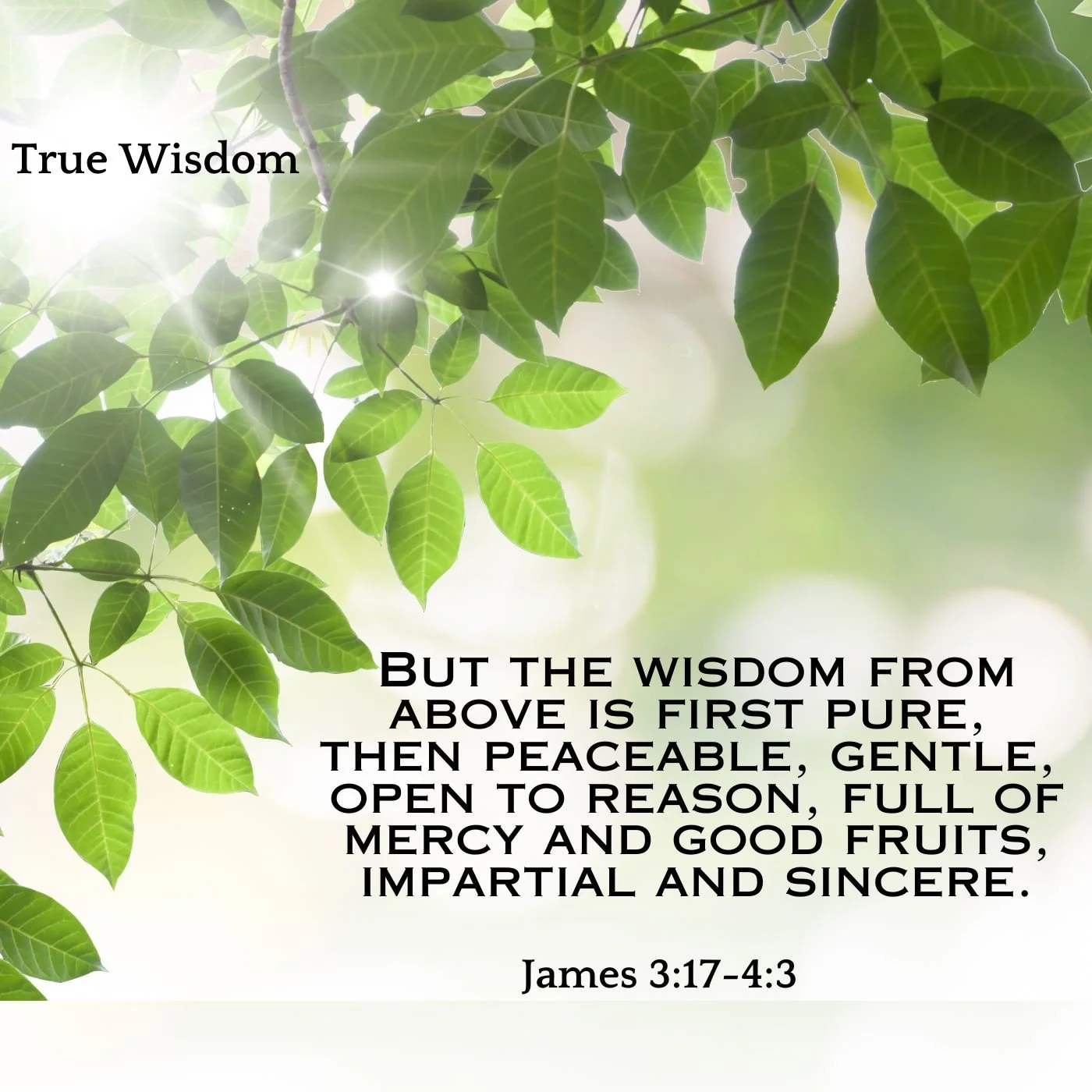 True Wisdom episode artwork