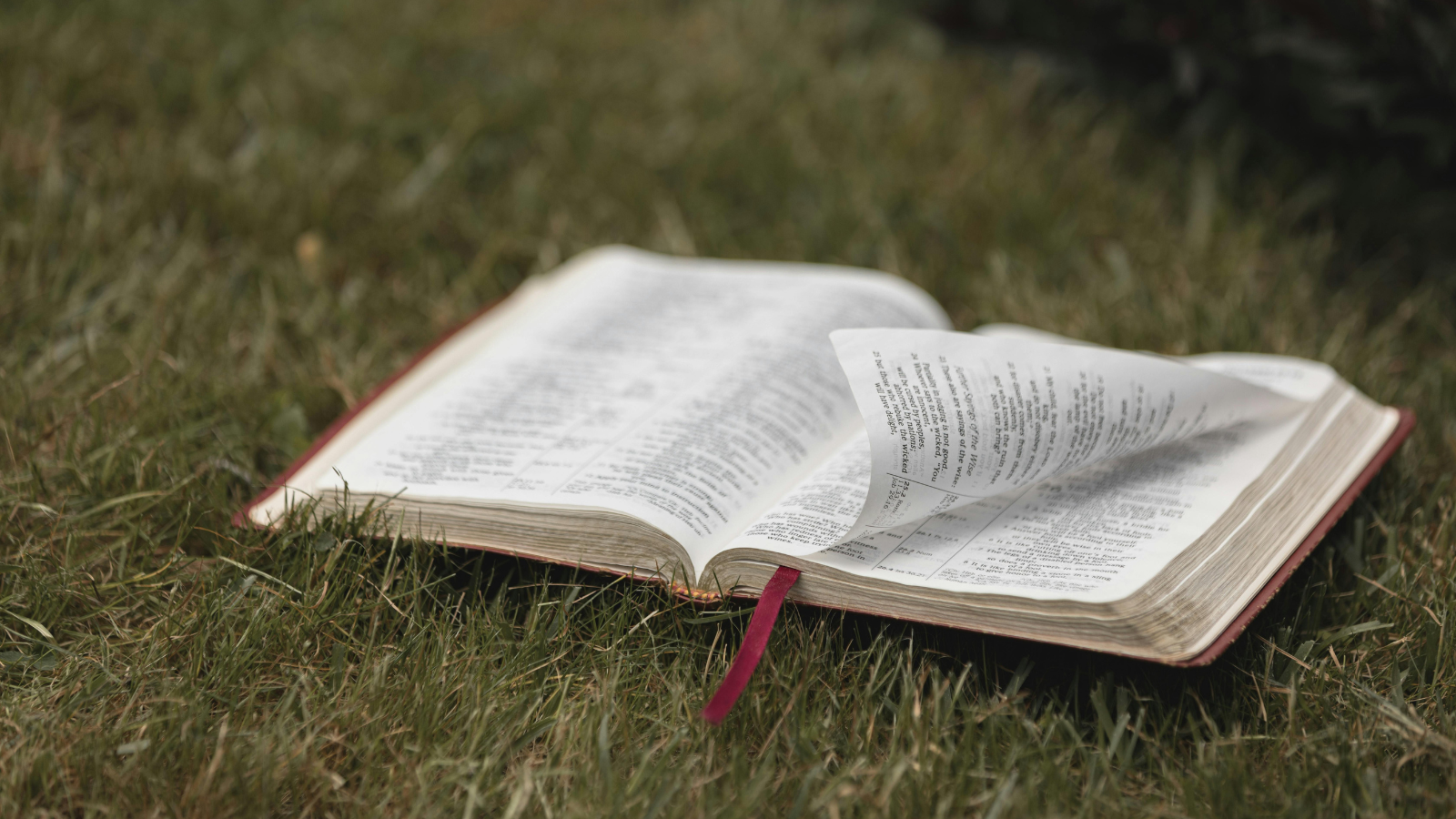 You cannot break the Ten Commandments—they will break you