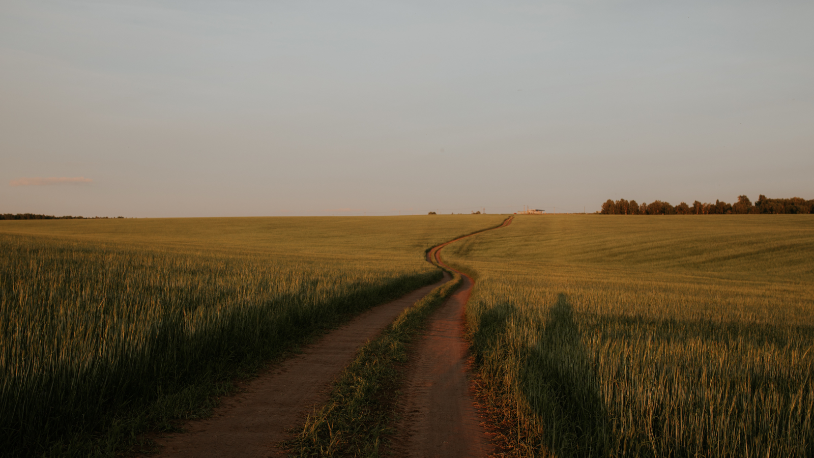 Freedom and Life in the Holy Spirit
