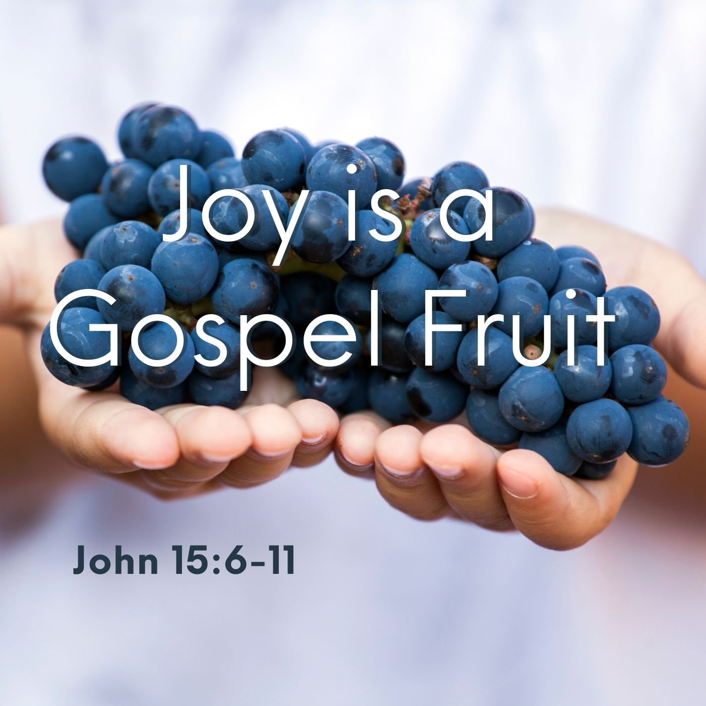 Feb 15, 2024 | Joy is a Gospel Fruit (Part A)
