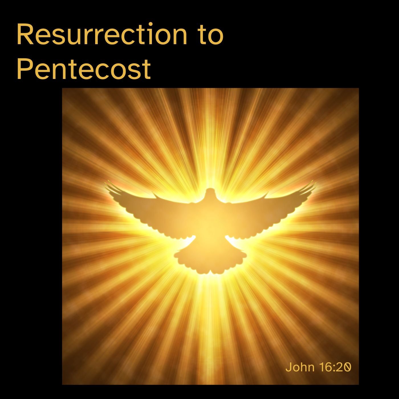 Mar 26, 2024 | Resurrection to Pentecost (Part B)