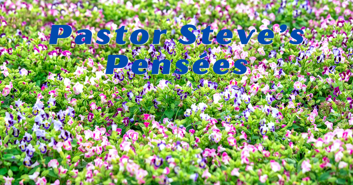 pastor steve's pensees.png