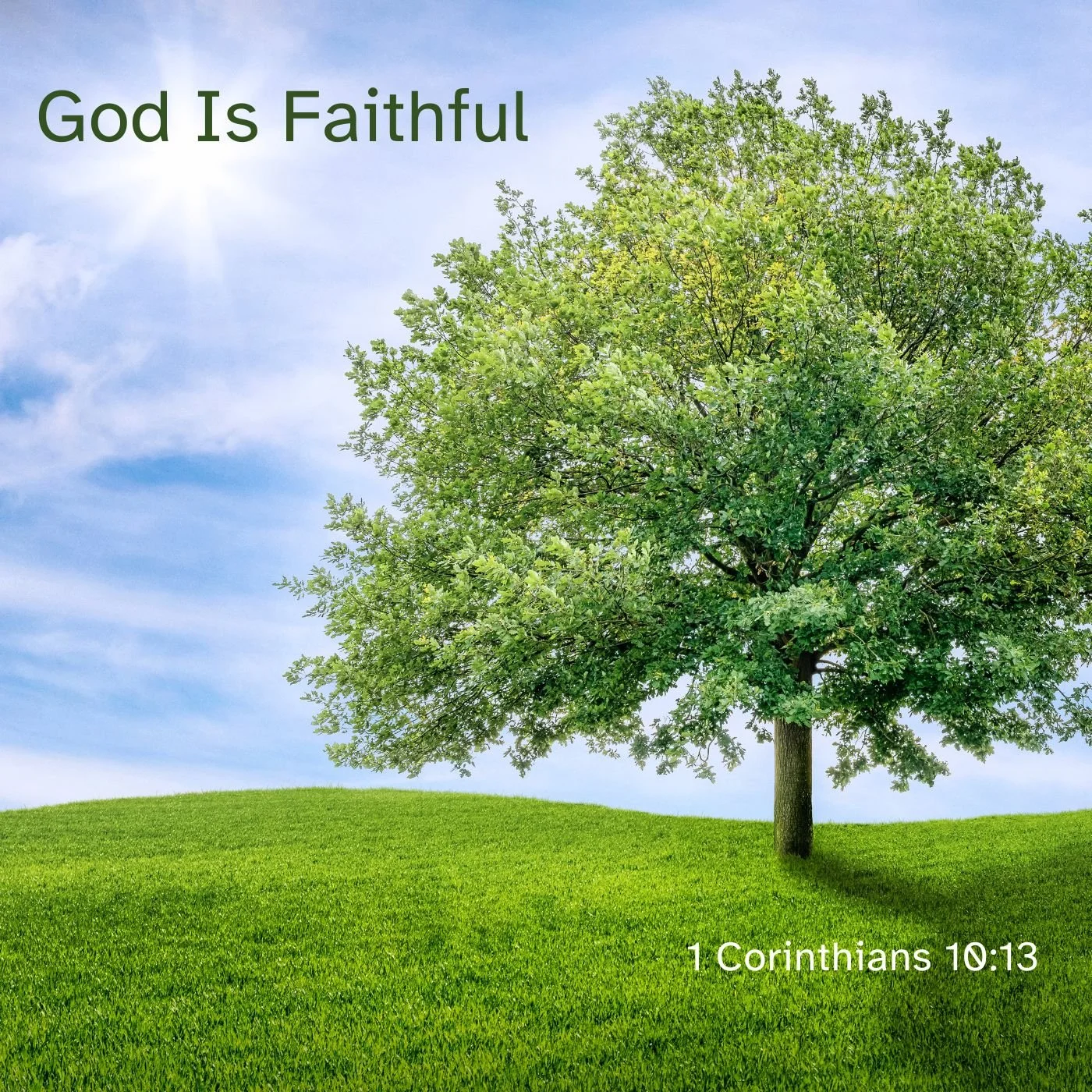 Nov 18, 2024 | God Is Faithful (Part B)
