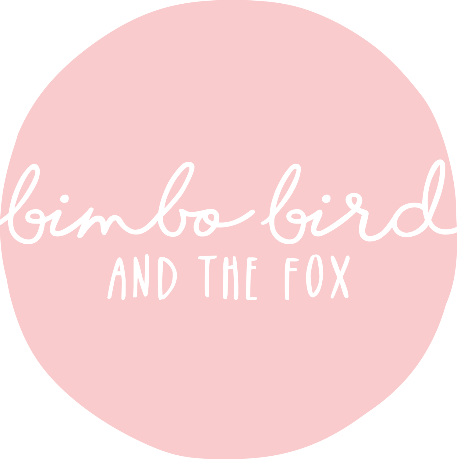 bimbo bird & the fox 